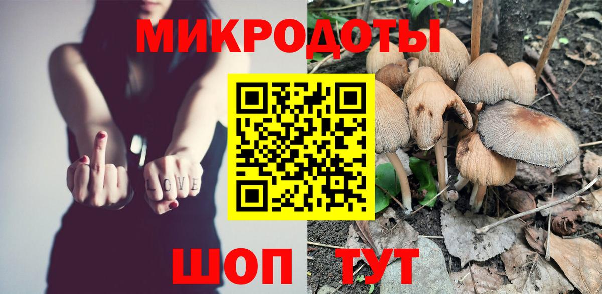 Псилоцибиновые грибы ЛСД Горно-Алтайск