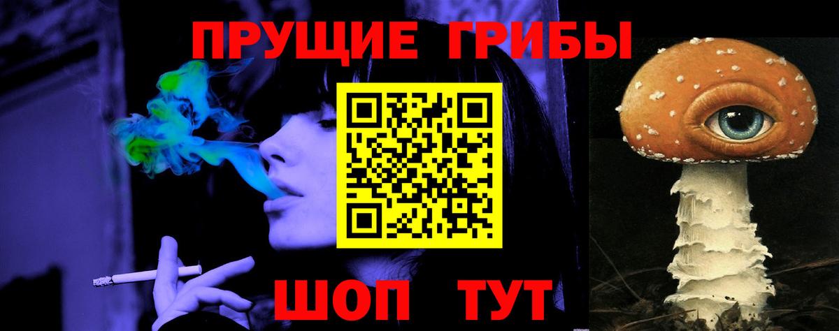 Галлюциногенные грибы Psilocybine cubensis  как найти   Горно-Алтайск 